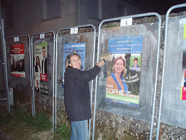 élections cantonales 2011 entretien des affiches