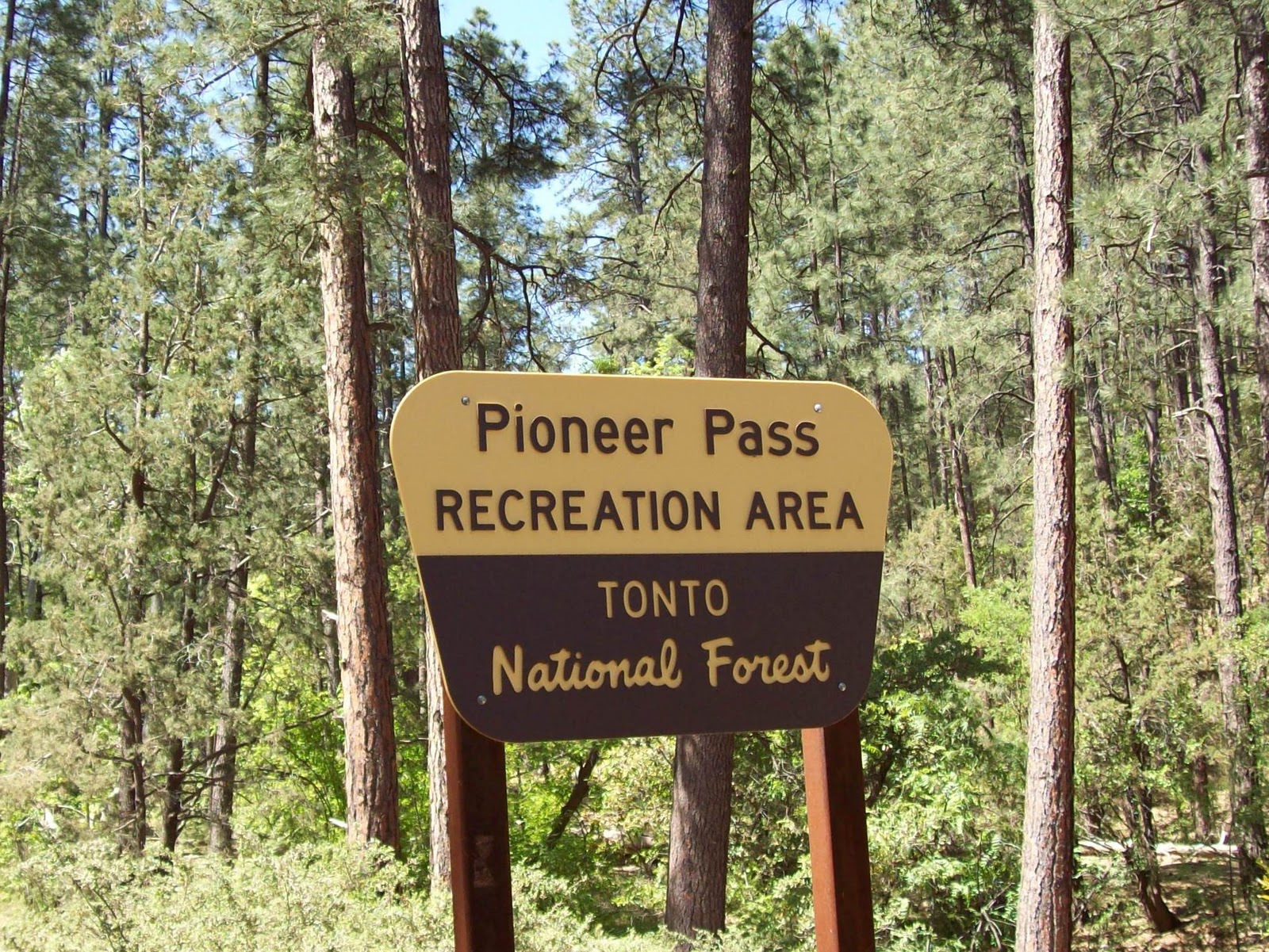 Have Book, Will Travel Pioneer Pass, Arizona