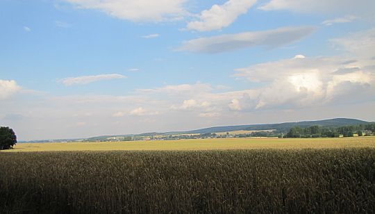 Panorama doliny Trzebinki.