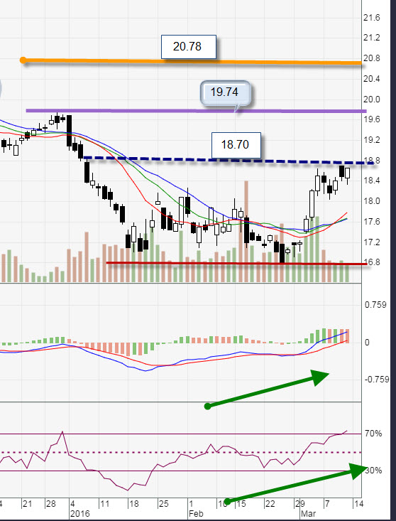 Uob option trading