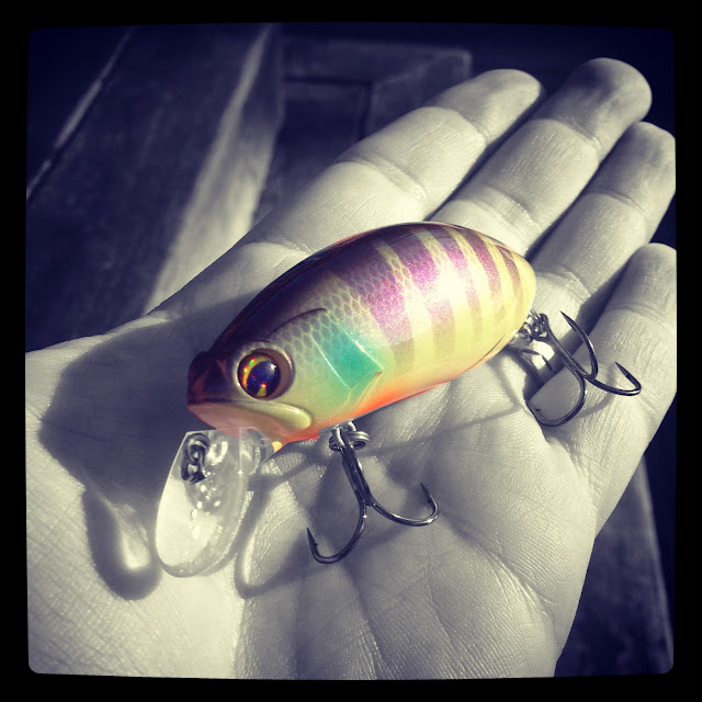Bass Junkies Fishing Addiction: Test Drive: IMA Roumba with some help ...