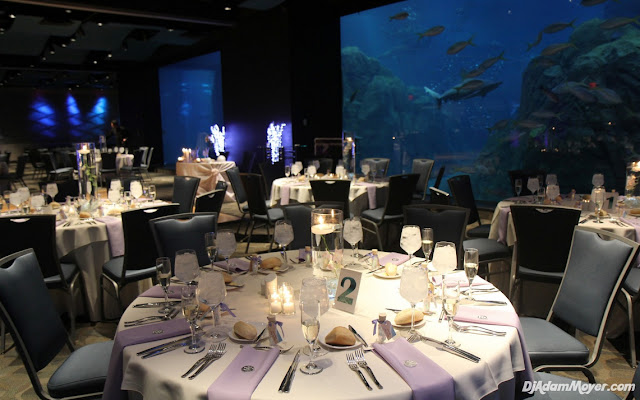 Wedding Venues In South Jersey adventure aquarium camden nj Wedding Venues In South Jersey adventure aquarium camden nj
