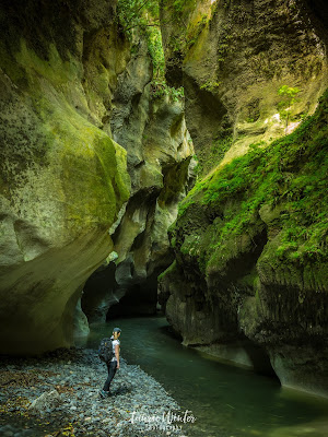 Hiking inside Patuna Chasm in Martinborough NZ, New Zealand, Wairarapa, Martinborough, Patuna Chasm, River, Moss