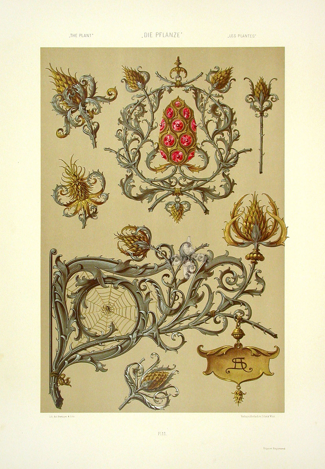 paradis express Anton Seder