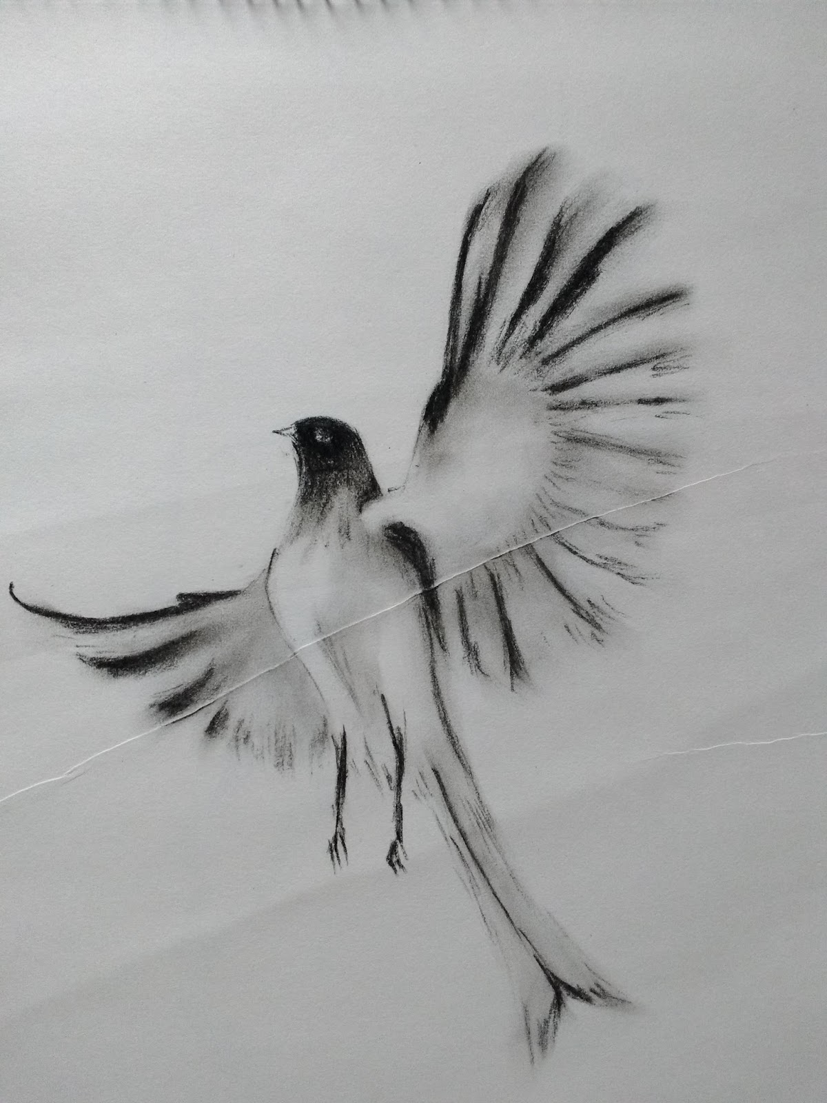 Share 112+ charcoal sketches of birds in.eteachers