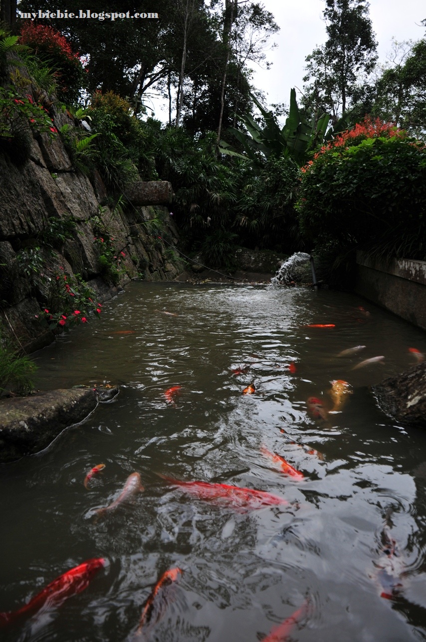 LIFE IN DIGITAL COLOUR Japanese Village Bukit Tinggi Pahang