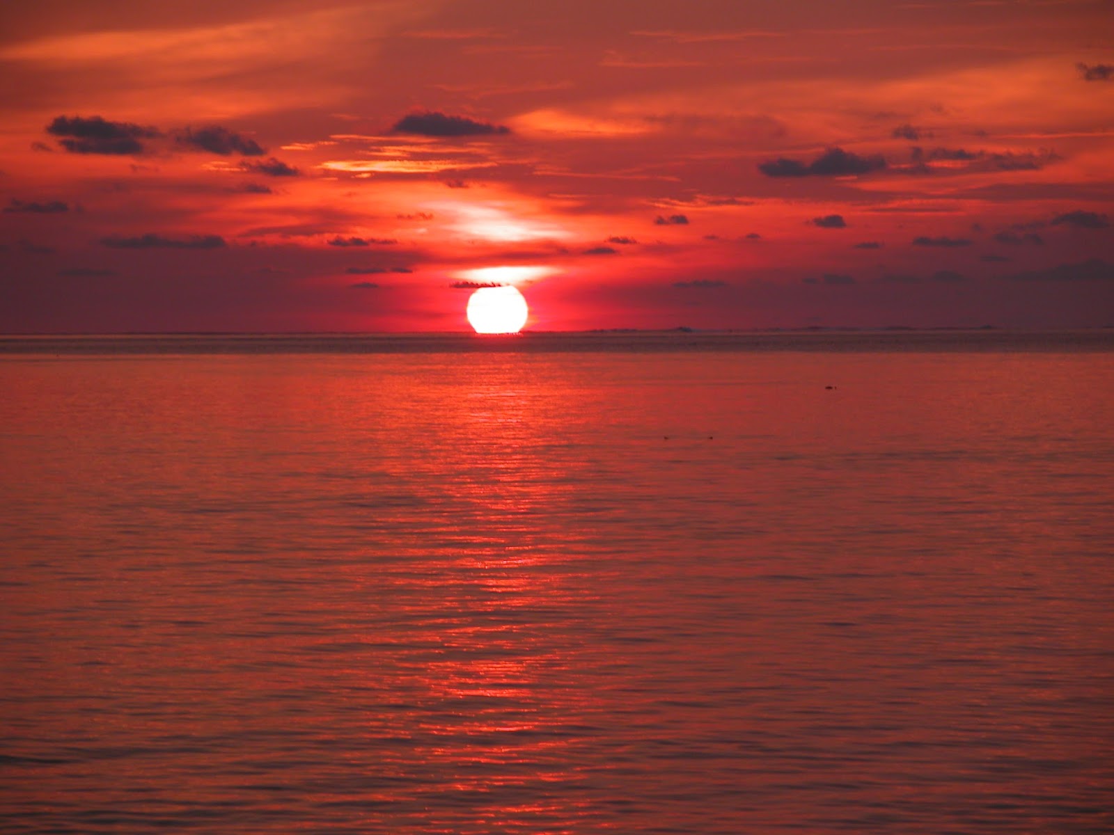 Sunrise ава. Sunrise me. Sunrise надпись. Пейзаж закат. Sunrise me.