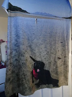 photo towel of dogs on the beach on clear day 