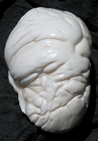 Pearl of Lao Tzu ~ What's New Philippines?