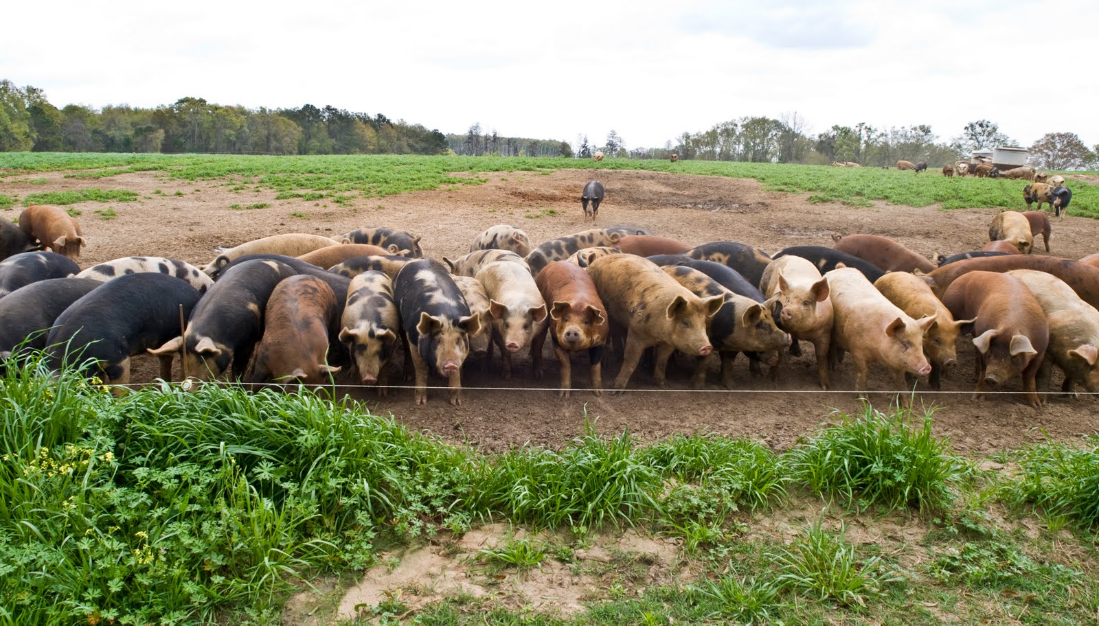 Table 58 South Farm Tour