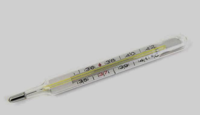 Prinsip Kerja Termometer Smart &quot;Physics&quot;