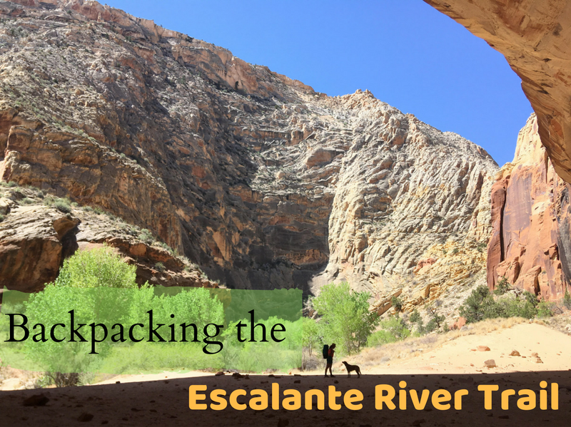Backpacking The Escalante River Trail Girl On A Hike