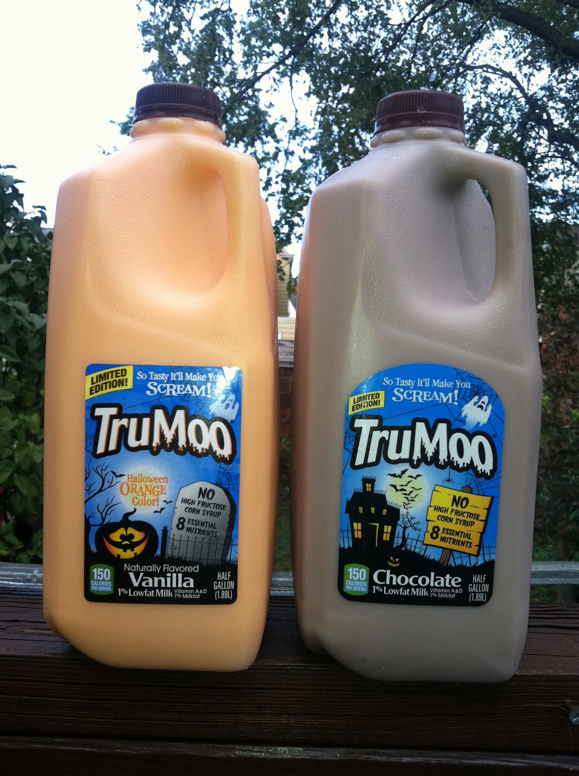 The Holidaze: Halloween Milk