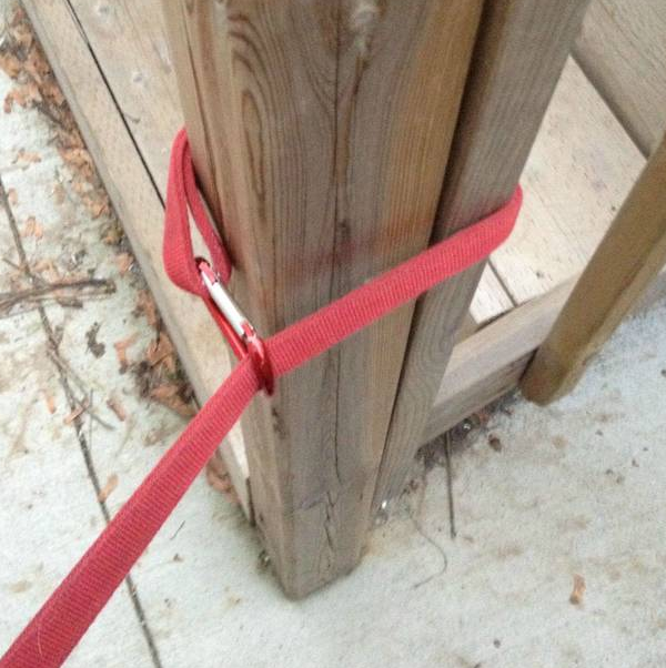 DIY Home Sweet Home 6 Brilliant Dog Hacks Every Dog Owner Should Know