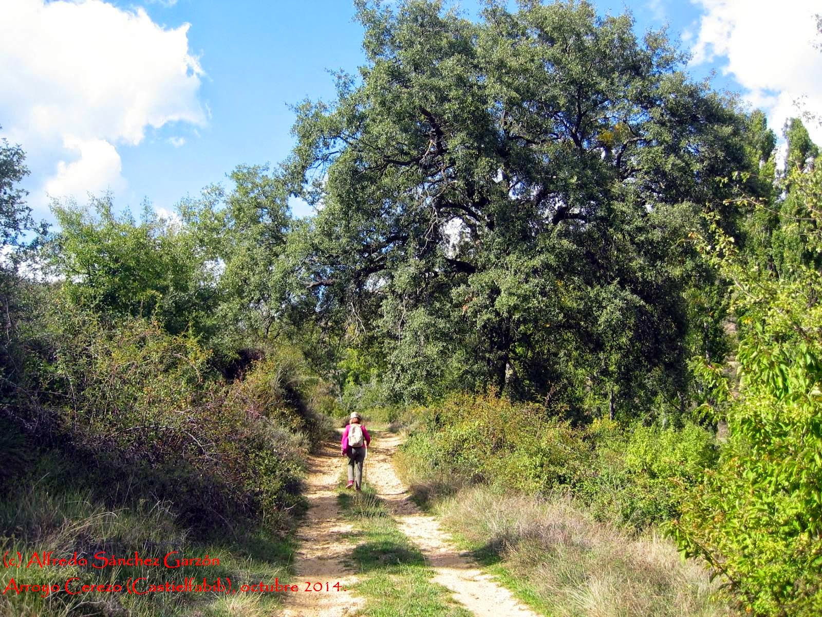 arroyo-cerezo-camino-cruz-tres-reinos arroyo-cerezo-camino-cruz-tres-reinos