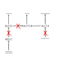 Previous figure with three large red "X"s indicating parts of the network that are nonfunctional.