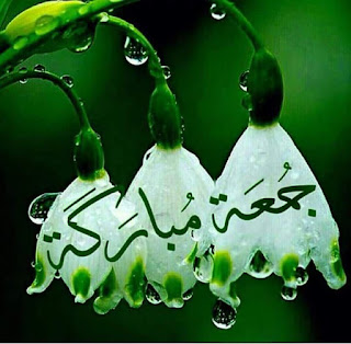 Photos-Juma%2527a-blessing-2017%2529%25E2%2580%25AC%2B%25E2%2580%25AB%252819%2529%25E2%2580%25AC%2B%25E2%2580%25AB%25E2%2580%25AC.jpg