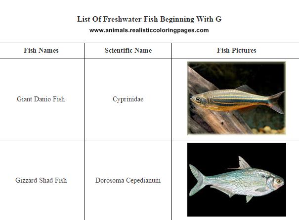 List of freshwater fish beginning with G List of freshwater fish beginning with G