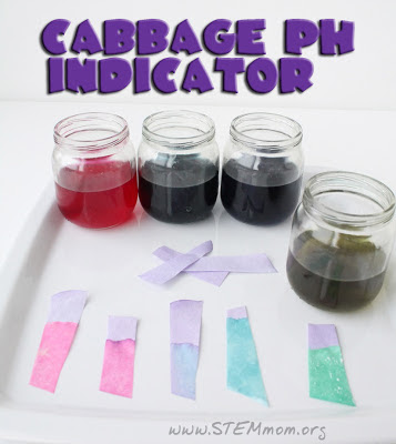 Cabbage pH indicator solution and paper: STEMmom.org