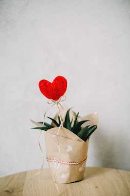 NWoBS Blog: Pocket friendly ideas to celebrate an eco-friendly Diwali without compromising the festive cheer! Go green and gifts plants this Diwali