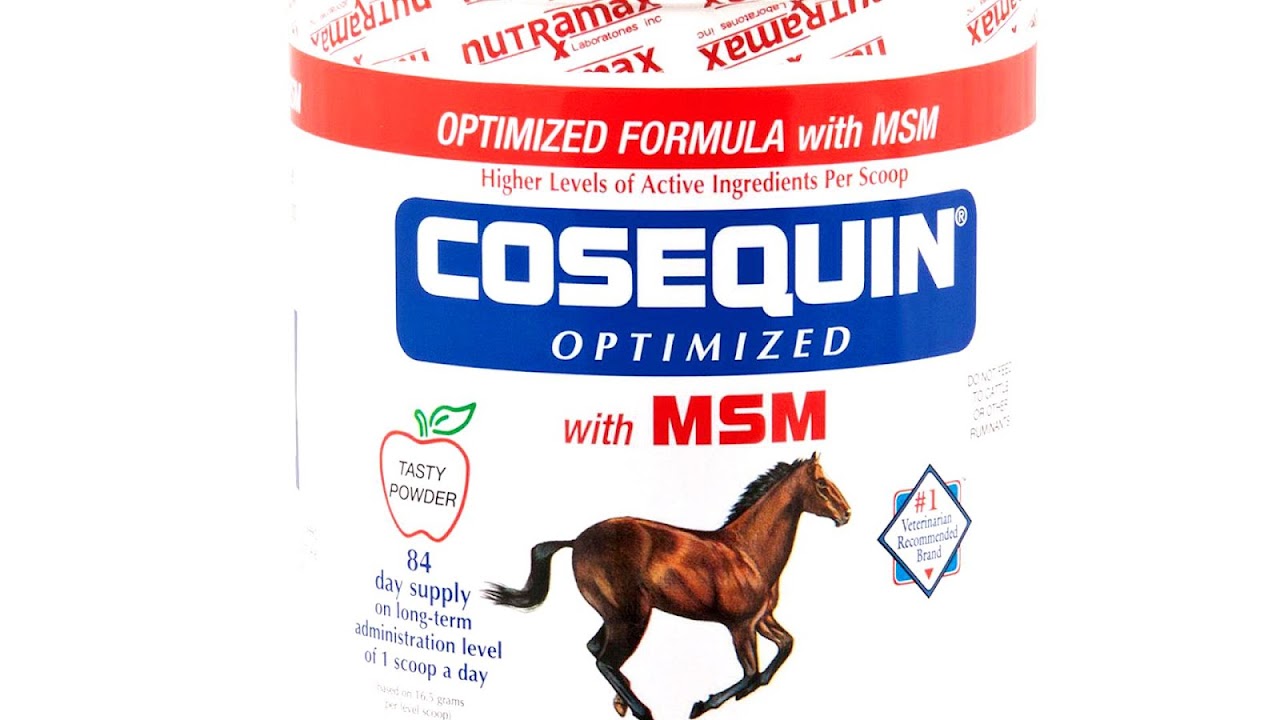 Clinical trials on glucosamine and chondroitin Horse Horse Choices