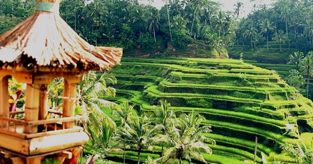 Objek Wisata Jawa Wisata Ubud Bali 3 Kegiatan Liburan