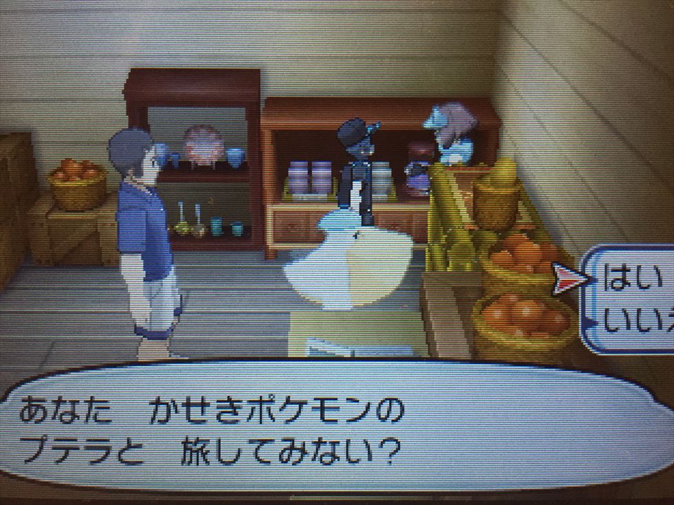 ポケさんぽ ポケットモンスター サン 15 ポニ島 エーテルパラダイス 彼岸の遺跡