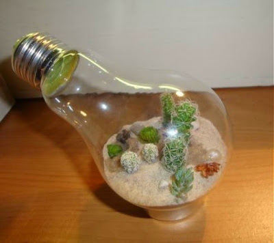 Cactus dentro de bombillo