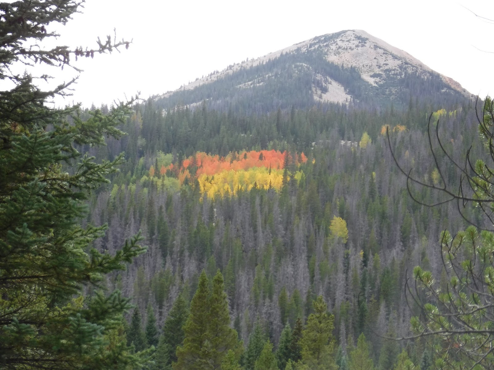 this will probably be our last blog from rocky mountain national park we have one more day but expect to be pretty tired after 16 miles this will probably be our last blog from rocky mountain national park we have one more day but expect to be pretty tired after 16 miles