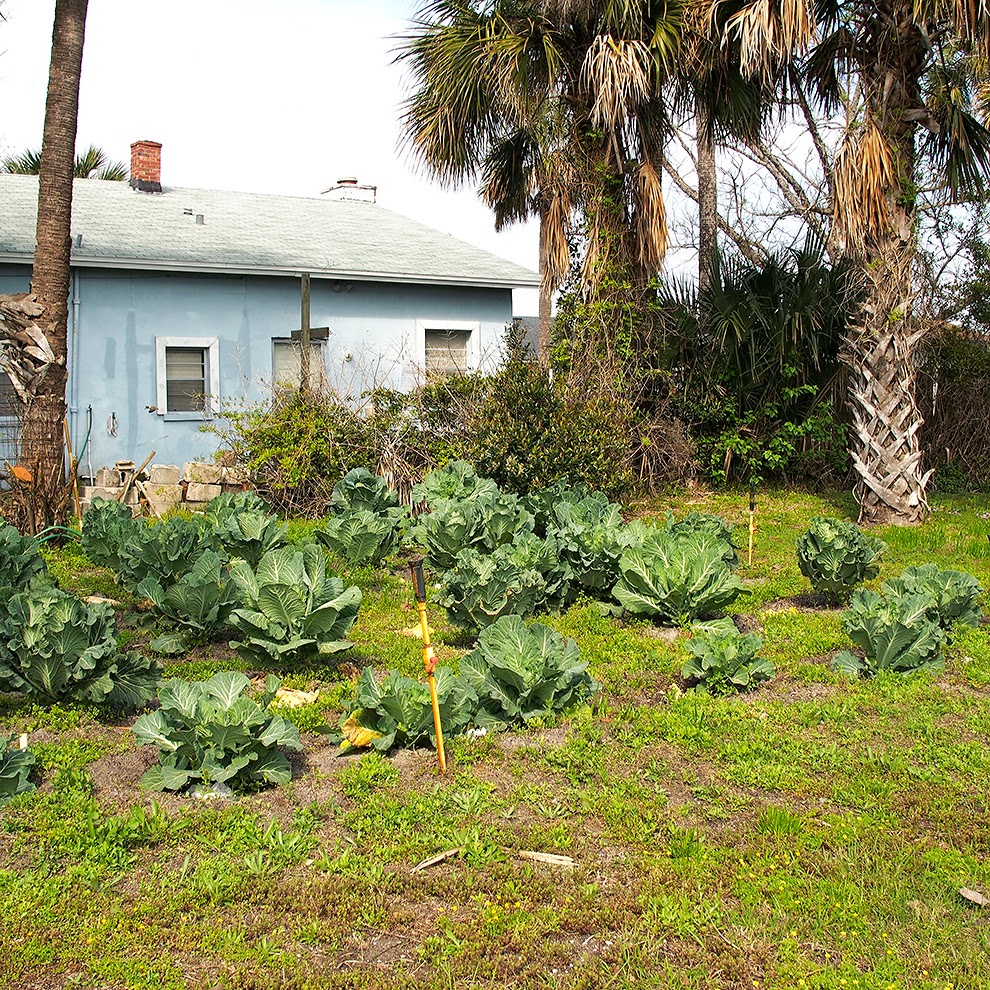 North Florida Pictures Garden, Jax Beach