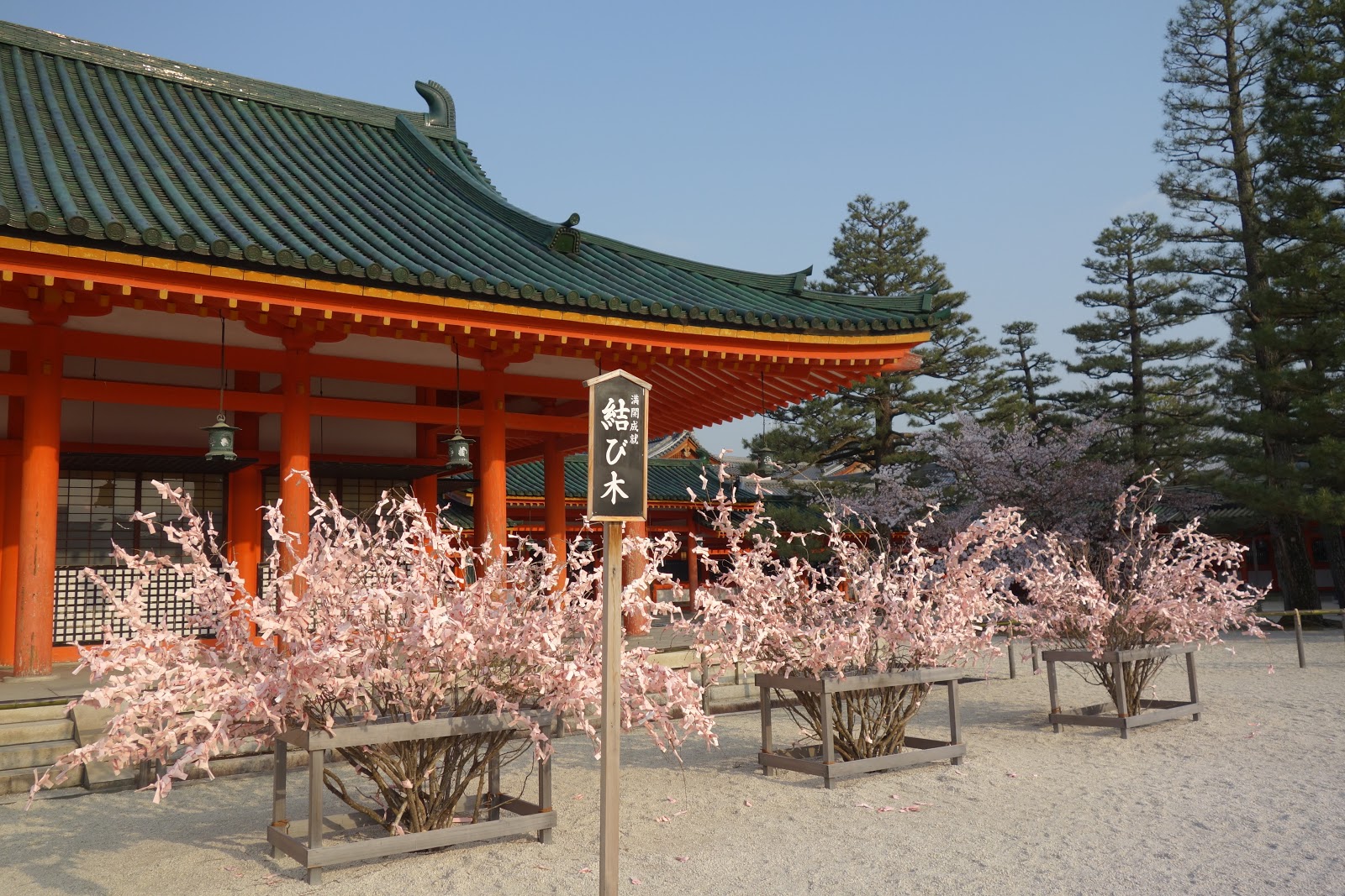 老媽的四處趴趴走 京都櫻花散策 三 哲學之道 南禪寺 蹴上傾斜鐵道 平安神宮