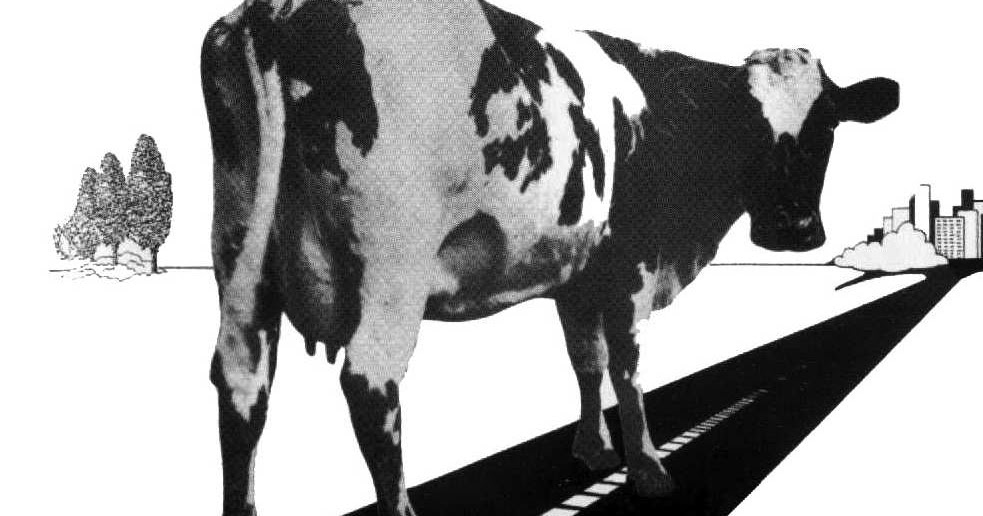 Pink Floyd Atom Heart Mother Goes On The Road Rare