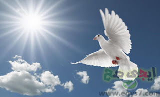 صور جميلة 2020 , اجمل صور حلوه لعام 2020 , صور رائعة جديدة صور جميلة 2020 , اجمل صور حلوه لعام 2020 , صور رائعة جديدة