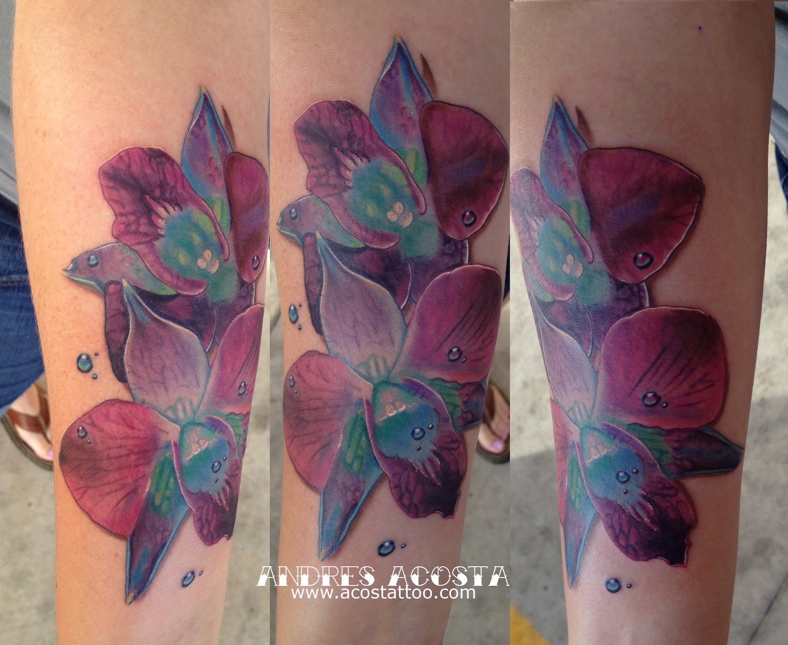 Horseshoe With Wings Tattoo Catholic news, solar energy, tattoo ideas