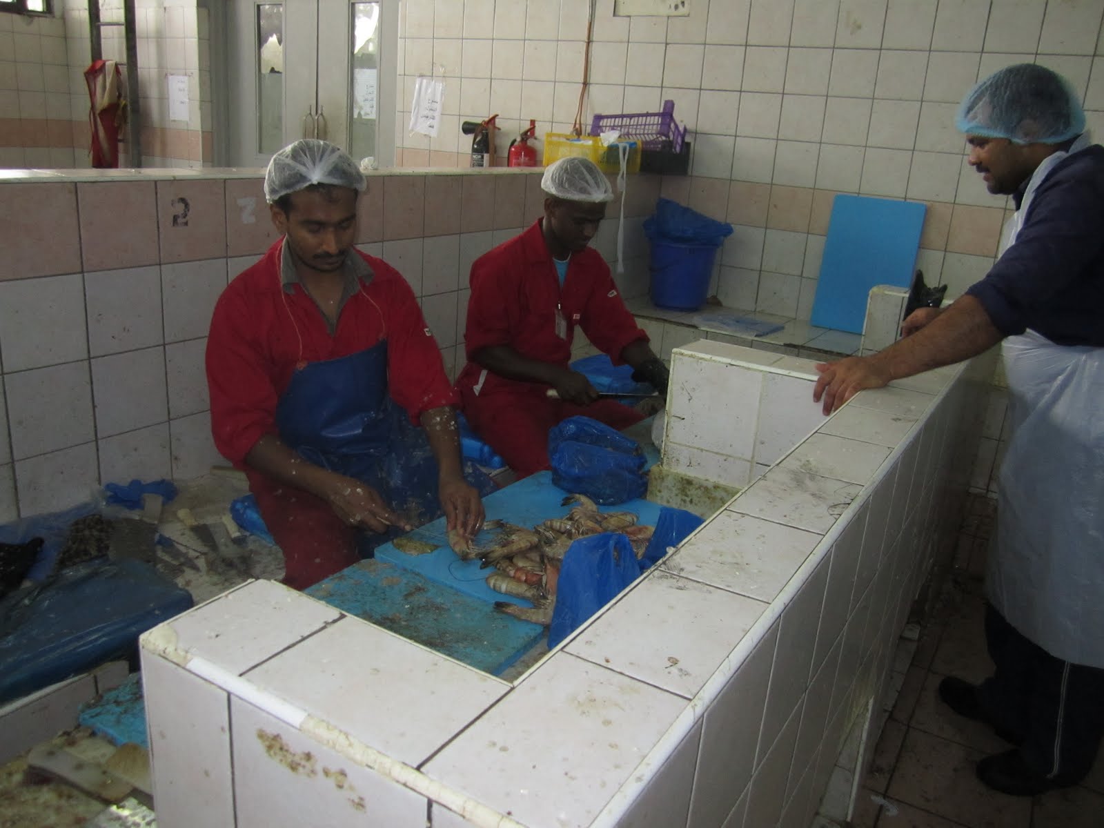 A Canadian in Abu Dhabi, UAE It's summer, here's a nice thing to do