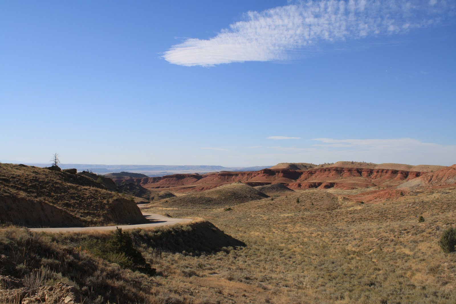 Living and Dyeing Under the Big Sky Pryor Mountain Drive