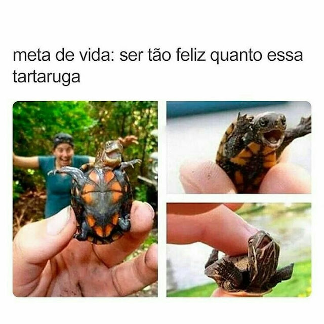 Memes engraçados Memes engraçados