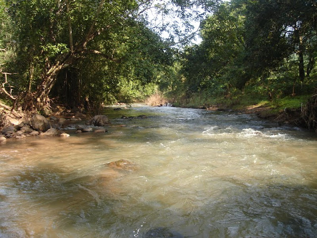 Maredumilli Eco Tourism