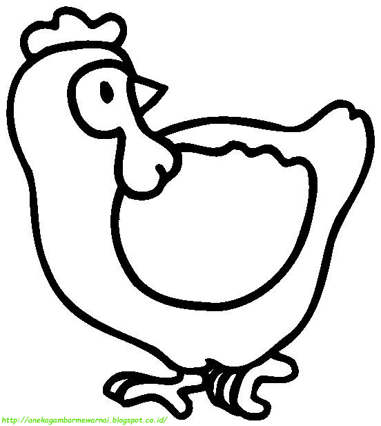 15 Gambar Mewarnai Ayam Untuk Anak PAUD dan TK