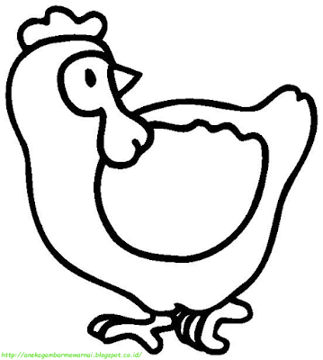Gambar Mewarnai Ayam - 2