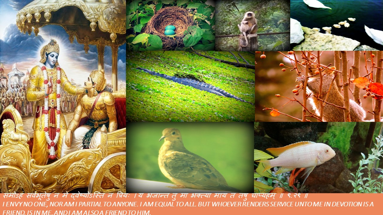 Words Of Eternal And Divine Wisdom words-of-eternal-and-divine-wisdom