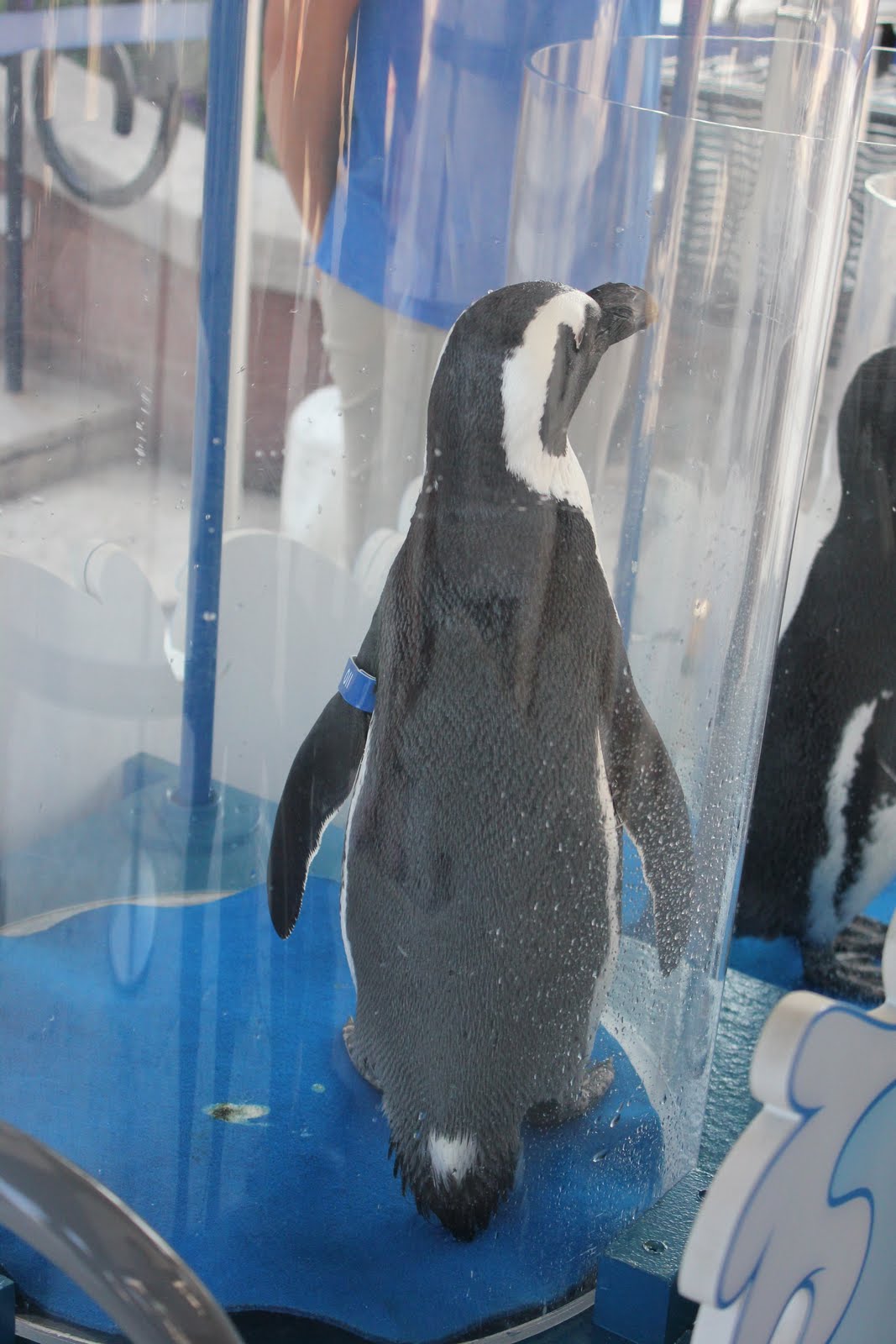 Brusters Ice Cream Near Me