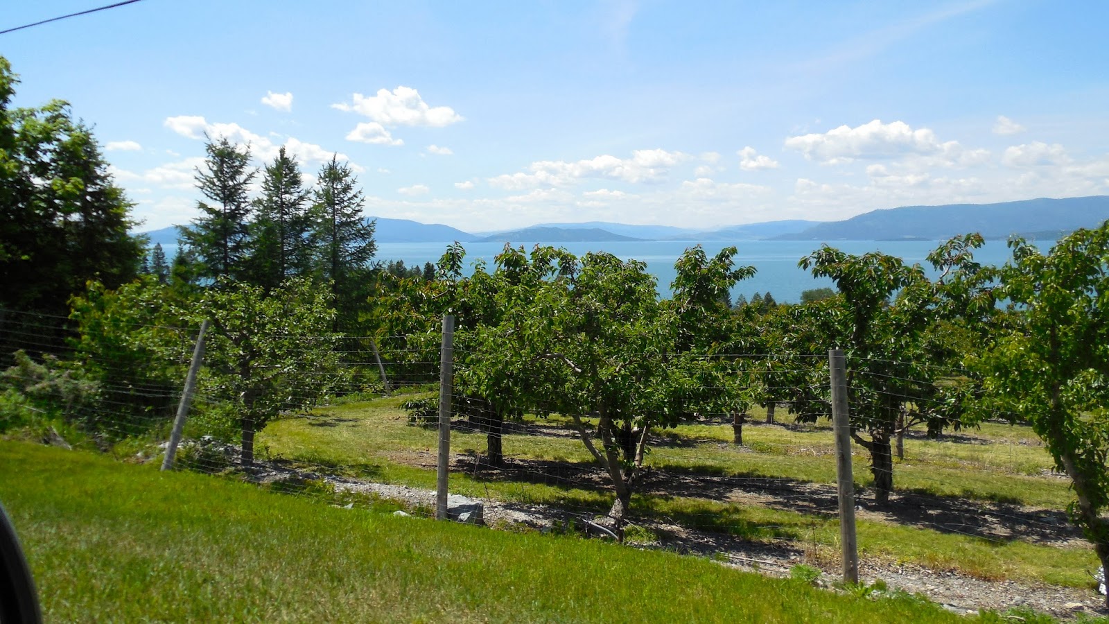 Embarking with Bear and Roger About That Polson, Montana (June 2 8)
