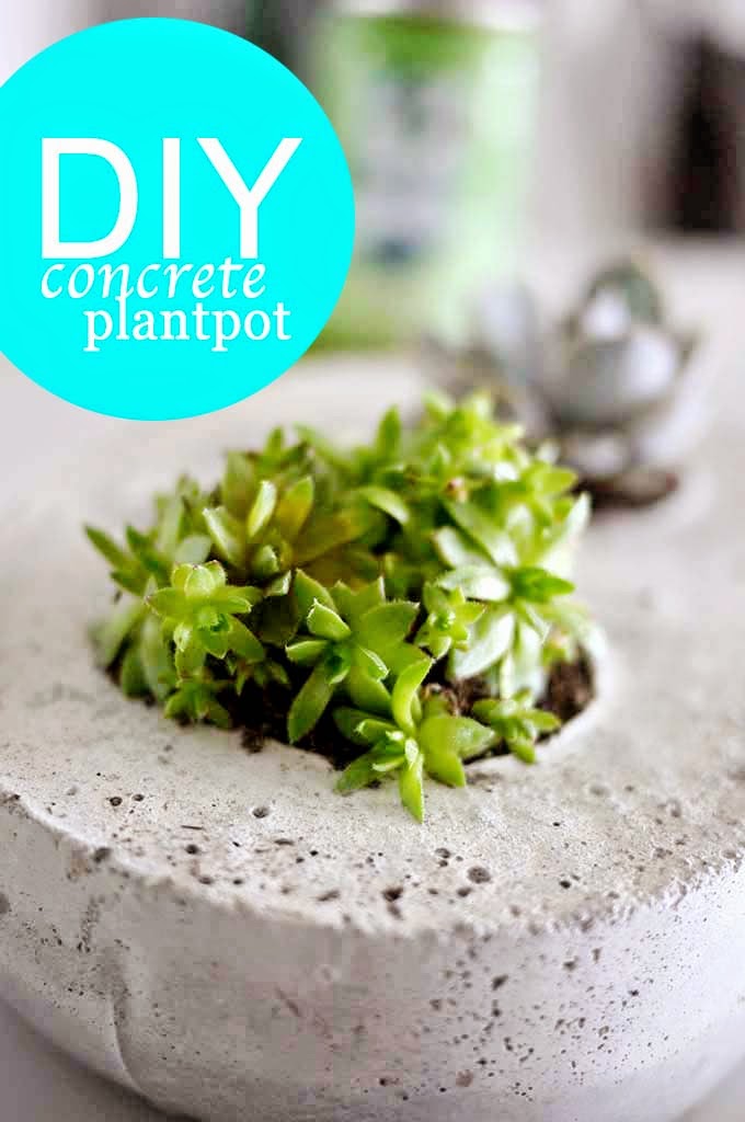 butterpaperstudio DIY Concrete Plant Pot