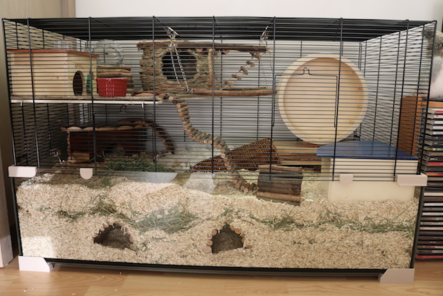terracage pour hamster