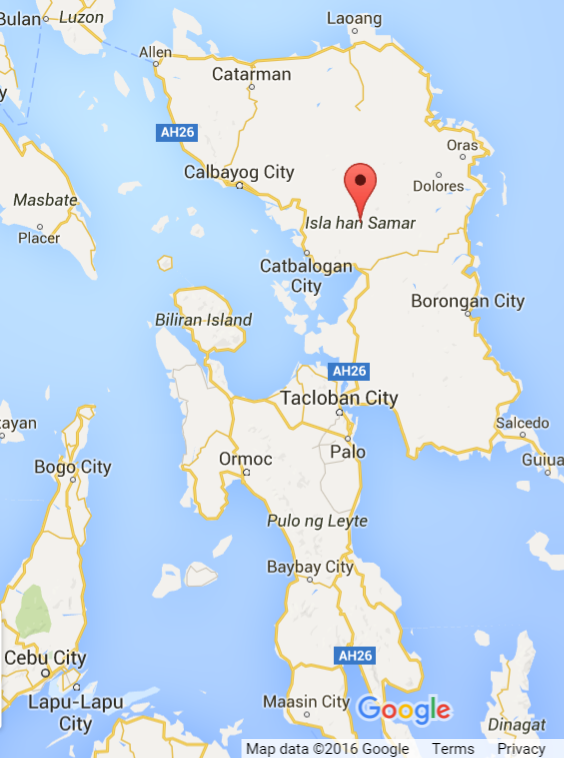 Philippines New Transmission Line Will Help Distribute Leyte