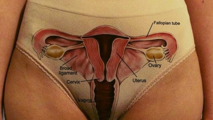 celana-dalam-bergambar-diagram-organ-intim-wanita