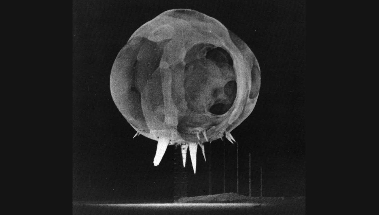 “Rope tricks” are seen in this image of a nuclear explosion taken less than one millisecond after detonation. During Operation Tumbler-Snapper in 1952, this nuclear test device was suspended 300 feet above the Nevada desert floor and anchored by mooring cables. As the ball of plasma expanded, the radiating energy superheated and vaporized the cables just ahead of the fireball, resulting in the “spike” effects.