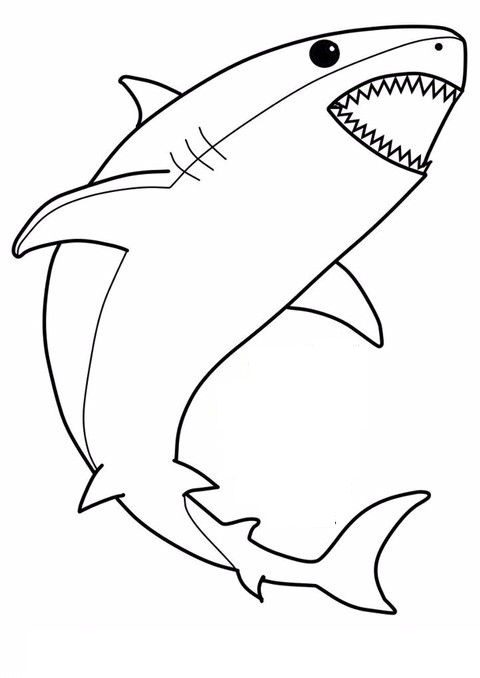 Tranh tô màu con cá mập đơn giản « in hình này