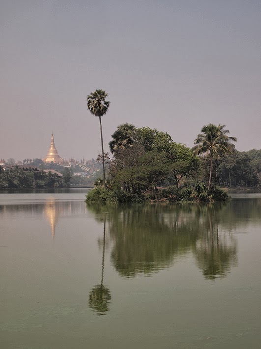 Kandawgyi Lake and Shwedagon Pagoda
